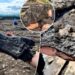 Ancient Roman shoes discovered after being buried for 2,000 years