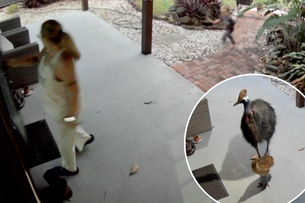 Mother and son narrowly survive run-in with killer bird species with nightmare claw that rivals Freddy Krueger’s