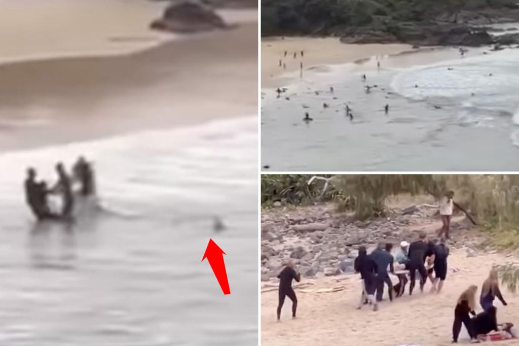Moment shark chases 16-year-old boy to land after mauling him off popular beach captured in terrifying footage