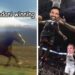 After Zohran Mamdani's win, the memes came fast and furious: 31 of the best