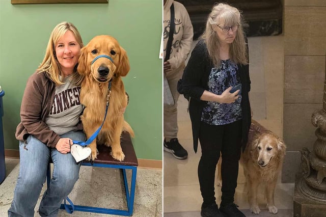 Minnesota Rep. Melissa Hortman, Her Husband and Their Golden Retriever Lie in State as Public Brings Dogs to Pay Respects