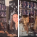 "This was a job commitment not afternoon tea": Miley Cyrus, Naomi Campbell accused of ignoring fans at vinyl-signing event