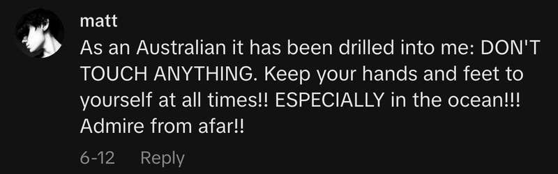“As an Australian it has been drilled into me: DON'T TOUCH ANYTHING. Keep your hands and feet to yourself at all times!! ESPECIALLY in the ocean!!! Admire from afar!!”