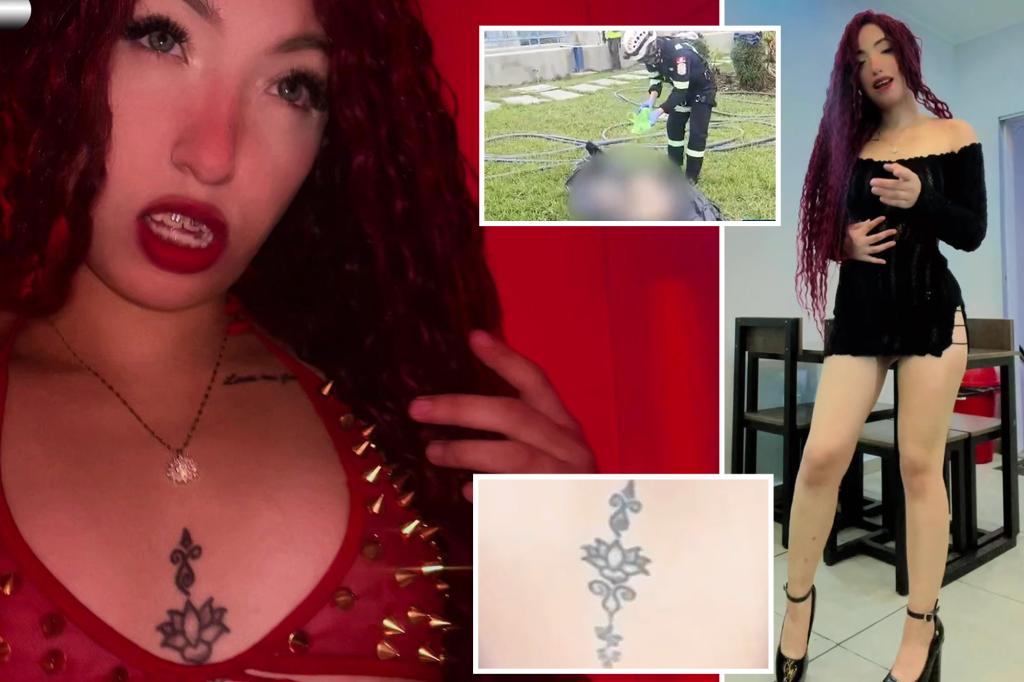 Dismembered remains of teen TikTok influencer found clogging water plant days after she went missing