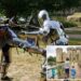 Medieval knight re-enactment goes ‘catastrophically’ wrong in front of terrified crowd