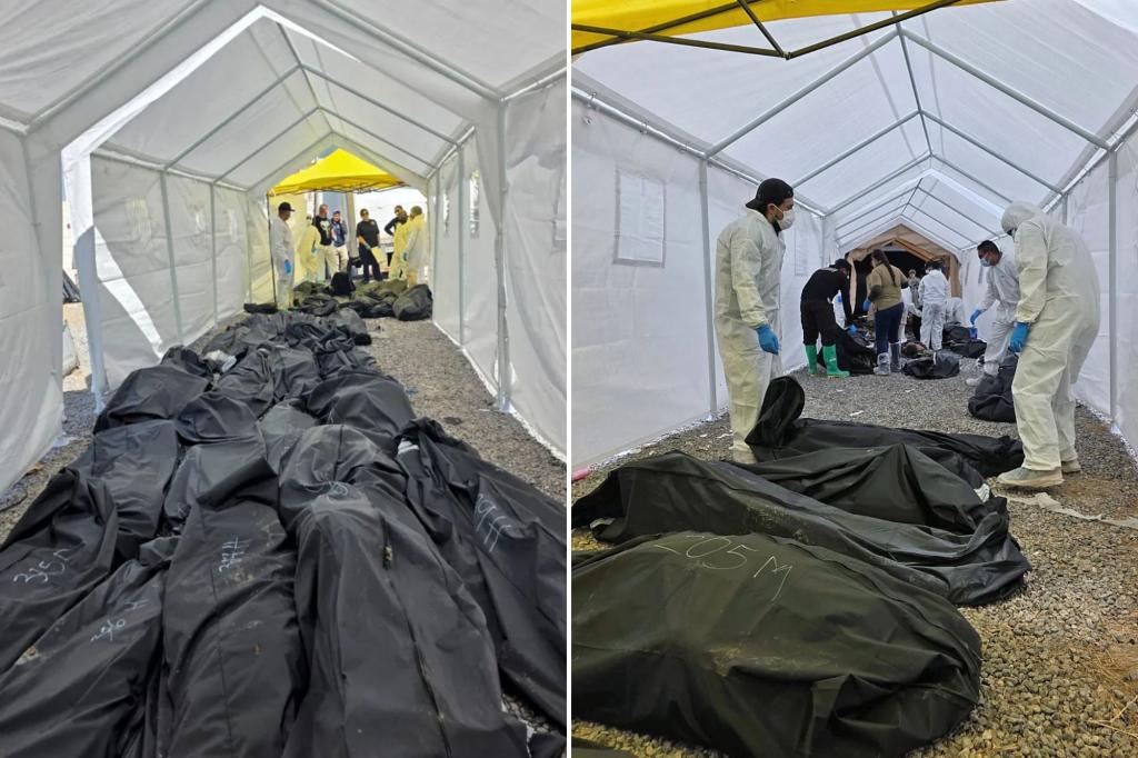 Mexico police discover nearly 400 neglected corpses ‘thrown indiscriminately’ around private crematorium