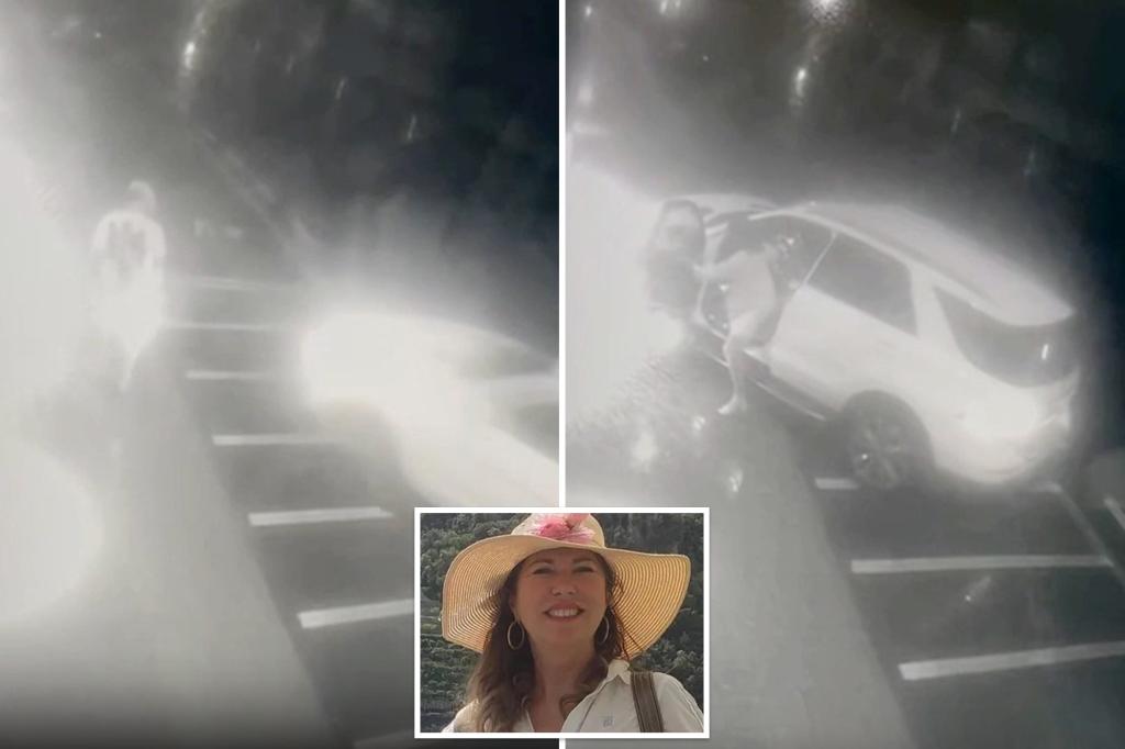 Socialite charged with murder after video allegedly shows her running down bag thief with SUV