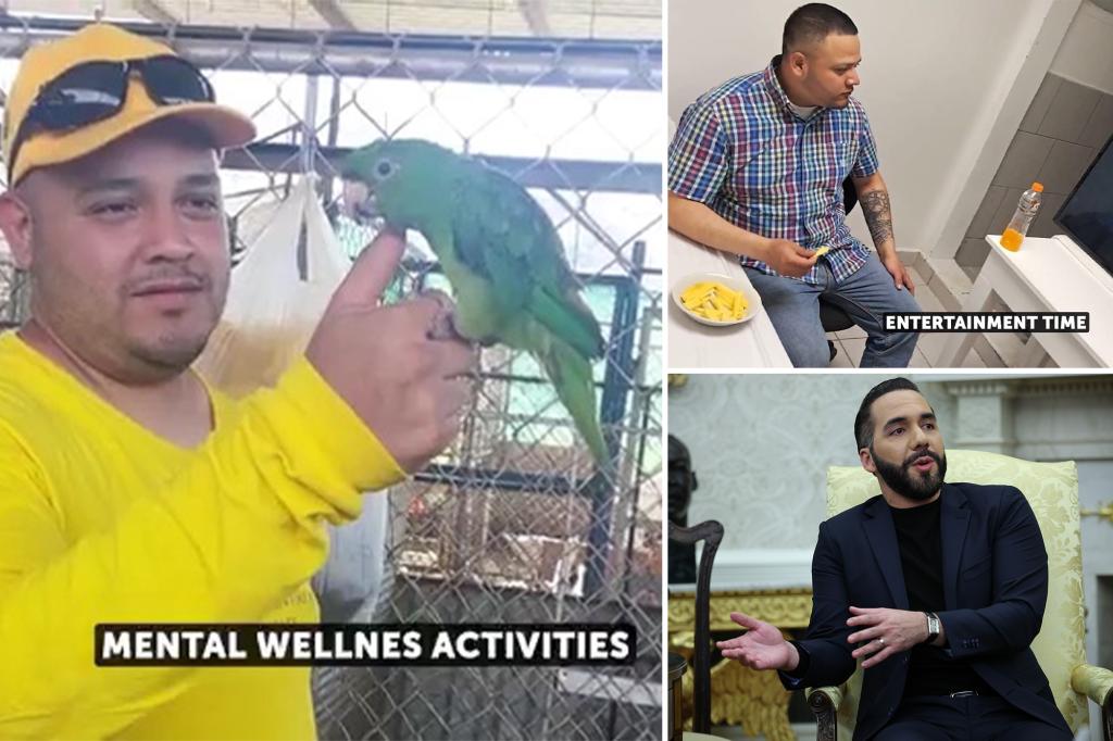 El Salvador president disputes alleged MS-13 member Kilmar Abrego García’s prison torture claims with shocking video: ‘Why does he look so well?’