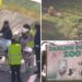 Woman feared to have lost arm in lion  zoo attack