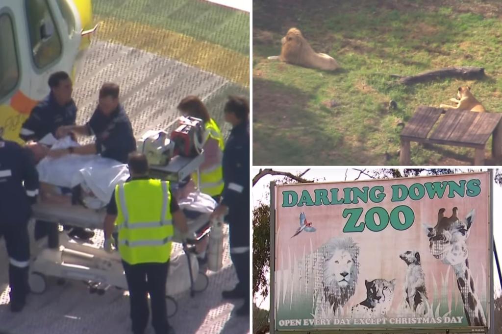 Woman feared to have lost arm in lion  zoo attack