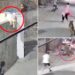 Harrowing video shows escaped lion chasing and mauling a mom and her two young kids