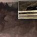 Mystery ‘gimp’ in full-body cat suit freaks out town with jump scares, unwanted meows: ‘Just a bit strange’