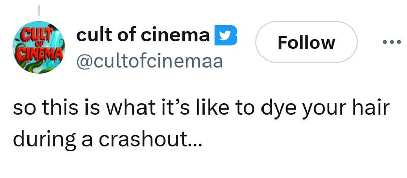Tweet that reads, "so this is what it’s like to dye your hair during a crashout…"