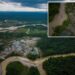 Over 90 arrests made during the environmental crime in the Amazon Basin