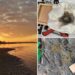 Man finds gift-wrapped, severed human toe on Father’s Day beach walk