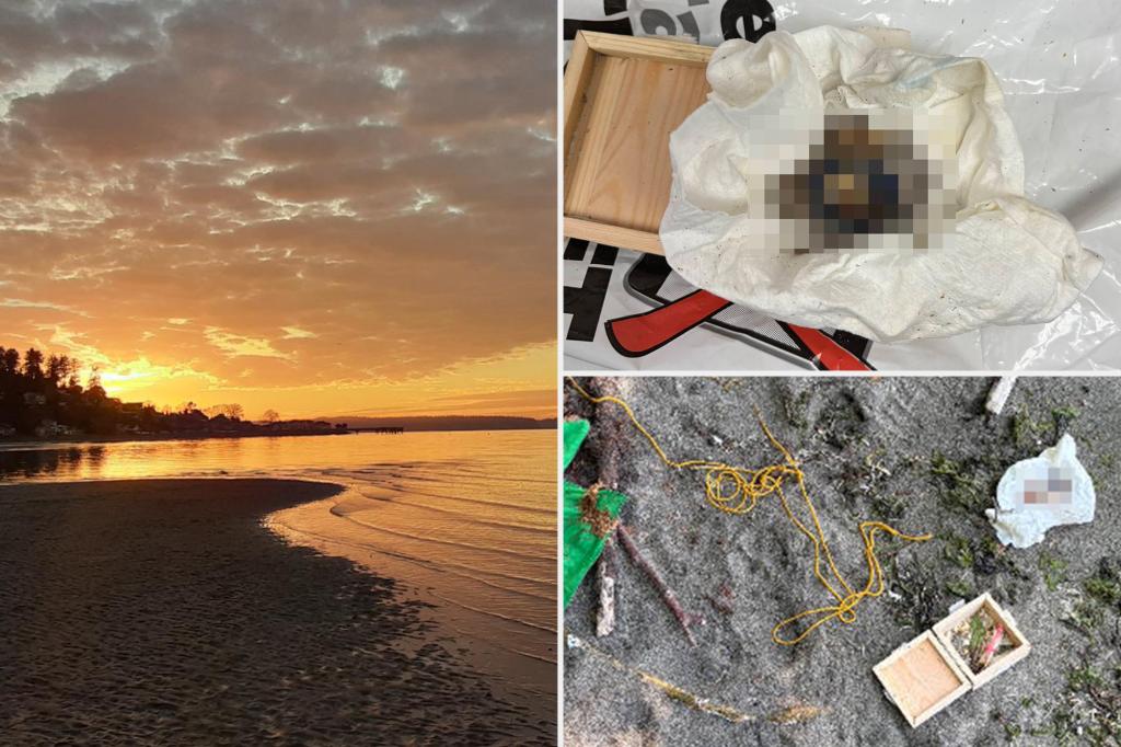 Man finds gift-wrapped, severed human toe on Father’s Day beach walk