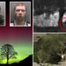 Sycamore Gap vandals face their fate in English court for felling beloved tree