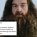 "Stunt Double Vibes": Nick Frost In Full Hagrid Mode Fails To Impress
