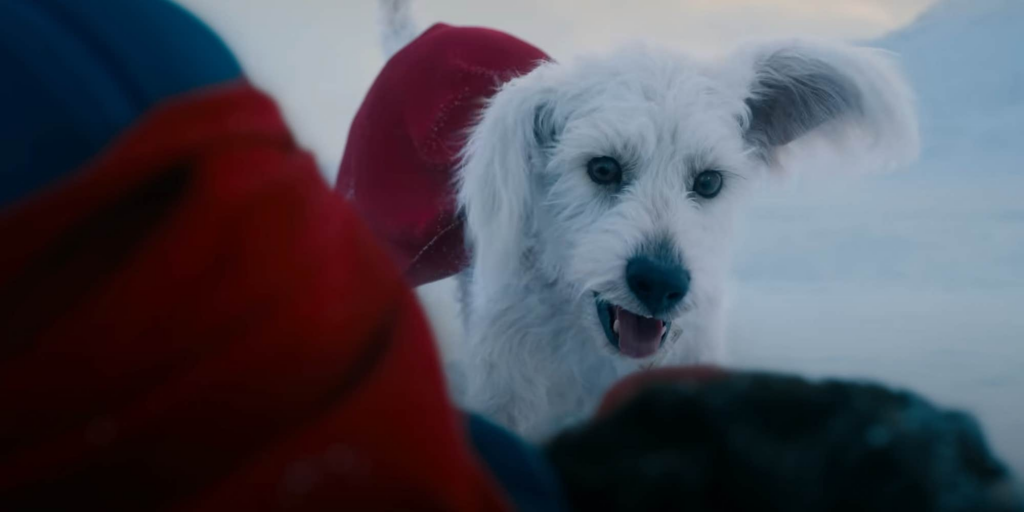 Krypto was the real MVP": Director James Gunn reacts to reports that Superman movie is increating dog adoptions, calling it a "blessing