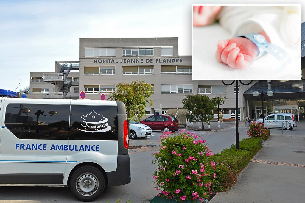 Boy, 6, fatally drops  premature infant on head while ‘roaming’ neonatal unit of French hospital: report