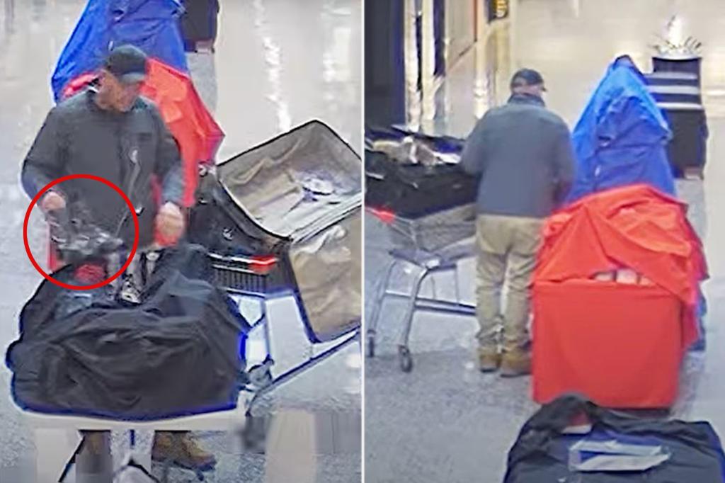 Australian man busted for stealing 53 individual right shoes: reports
