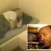 Inmate charged with murder of notorious serial killer who feed his victims’ remains to ravenous pigs
