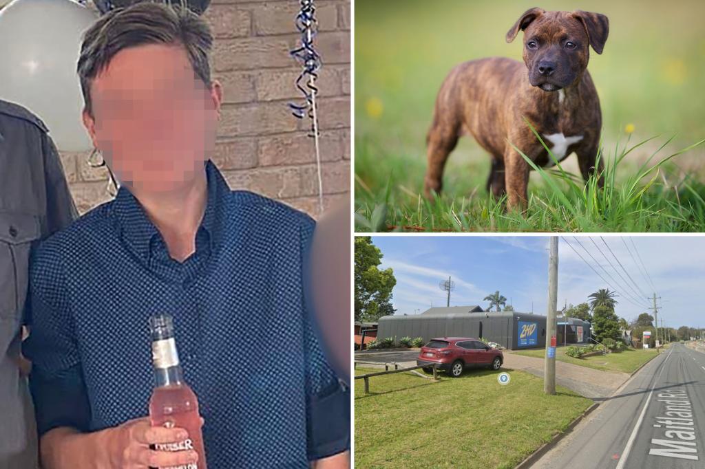 21-year-old charged with allegedly beating a puppy in ‘disturbing’ incident