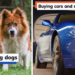 From breeding dogs to yacht racing, people are calling out the "really dumb hobbies" rich people have