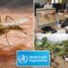 WHO raises concern about spread of mosquito-borne Chikungunya virus