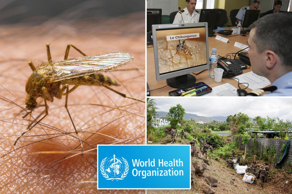 WHO raises concern about spread of mosquito-borne Chikungunya virus
