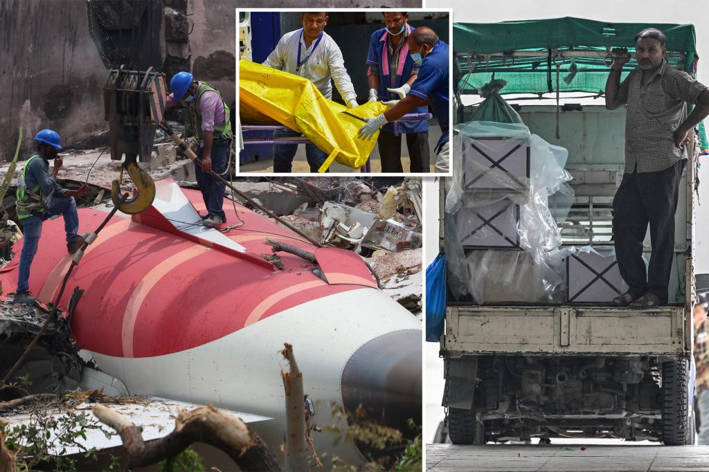 Multiple families were sent the wrong bodies after Air India disaster: report