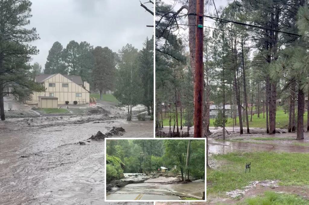 At least five people rescued from New Mexico mountain village after massive floods hit the area