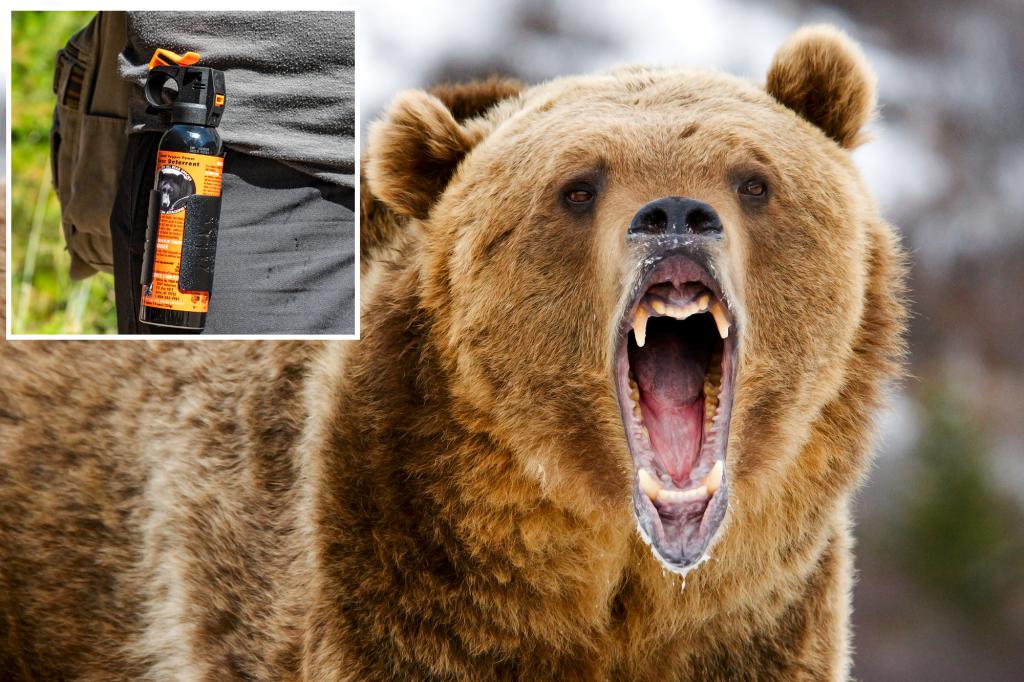 Quick-thinking wife saves husband with bear spray during grizzly attack in Canadian wilderness