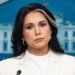 Gabbard Is Lying About Obama and Russian Intel: Top CIA Officer