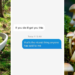 "I think it's poetic": The internet is freaking out over an eco-friendly mushroom casket burial