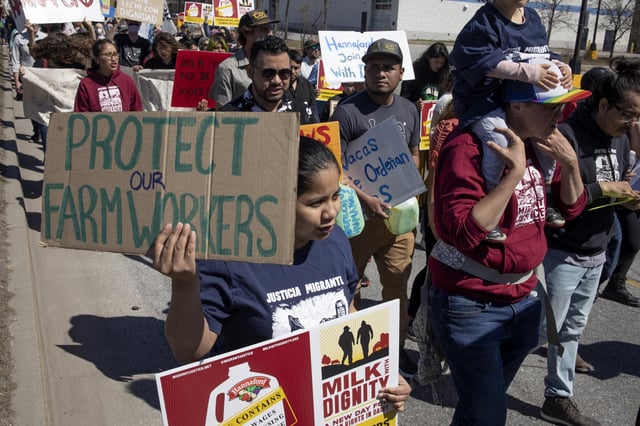 ICE raids on US farms leaves crops rotting