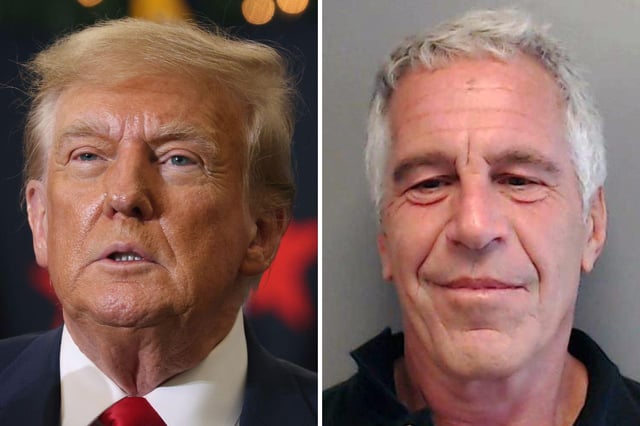 Jeffrey Epstein spoke out against Donald Trump and said he was a crook, brother says