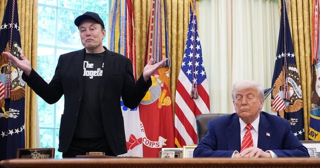 Musk Purges Trump Loyalists Over Jeffrey Epstein Cover-Up