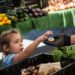 The GOP Is Taking Food From Kids to Give Billionaires a Tax Break