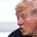 'Total Mental Collapse': Trump Ripped After 'Insane' New Ramble In Europe