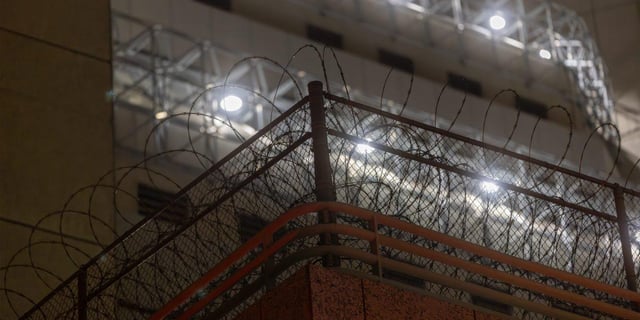 Trans People Have Disappeared From ICE Records, Against Congressional Orders