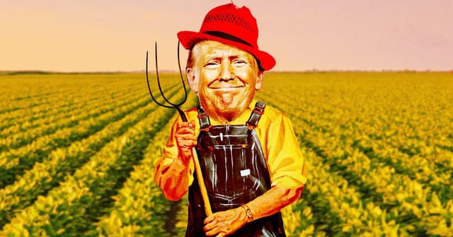 Trump Stuns MAGA by Allowing Illegals to Work on Farms