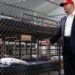 Trump said Alligator Alcatraz was built for the ‘most vicious people on the planet’ — but hundreds of detainees have no criminal record