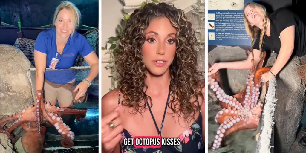 "Way too smart for touch tanks": San Antonio aquarium lets visitors touch giant octopus—even after it allegedly attacked a child