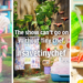 We saved Cheffy? Yay!!": Tiny Chef creators say they're "getting ready to turn the tiny cameras back on