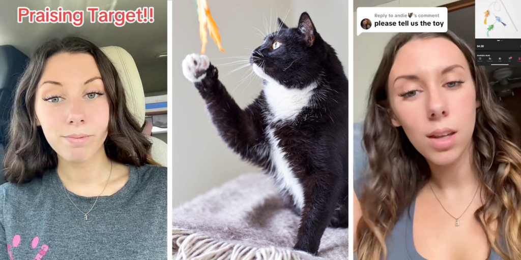 Woman praises Target’s swift action after cat toy kills her cat