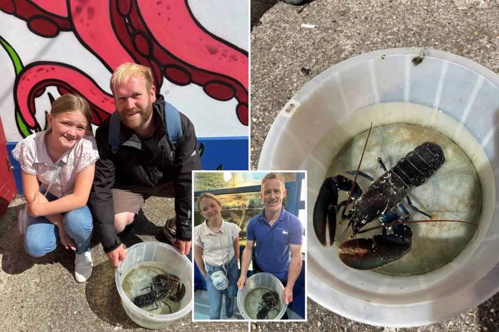 Dad and daughter catch ‘one-in-two-million’ rare blue lobster — and name it Steve: ‘It didn’t feel real’