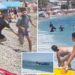 Wild video shows sunbathers tackling migrants who jump off boat at a packed beach in Spain