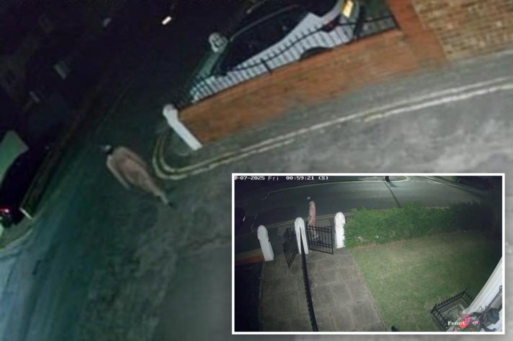Naked man in gimp mask caught on bizarre video prowling quiet town
