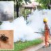 Severe outbreak of mosquito-borne chikungunya virus infects 8,000 in China